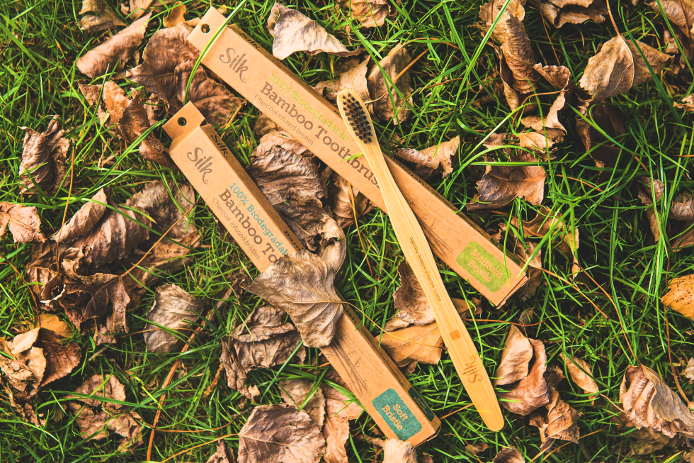 Acton International Marketing purchases Kiwi brands: MouthFresh, Silk, Spring Fresh & Freeze Pops